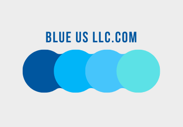 Blue US LLC